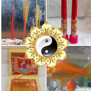 Paketan Ikan Emas, hio, Lilin,Buah dan Kimcua (Untuk Sembahyang & Ritual Doa Hajat)