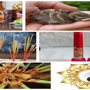 Paket Buah ,burung sesuai umur ,hio ,Lilin dan ,Kim Fangshen untuk Rejeki (Perantara Doa Hajat & Sembahyang)